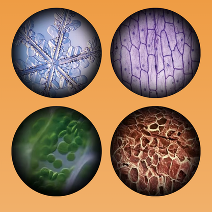 Mini Microscope for Kids – Portable Pocket Microscope for STEM Learning Under the Microscope